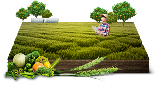 Agricultural Products & Food